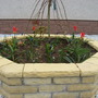 Raised Bed