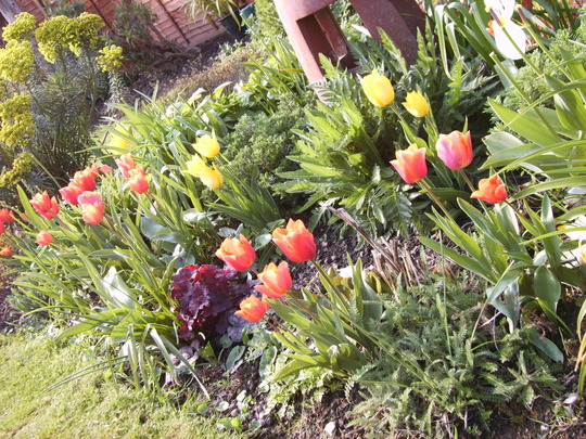 Island bed Spring 2008