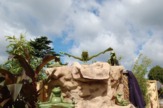 Energetic Frogs