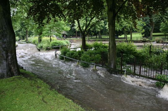 Blog_14_Arbo_path.jpg
