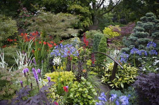 Blog_14_bottom_garden.jpg