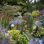 Blog_14_bottom_garden