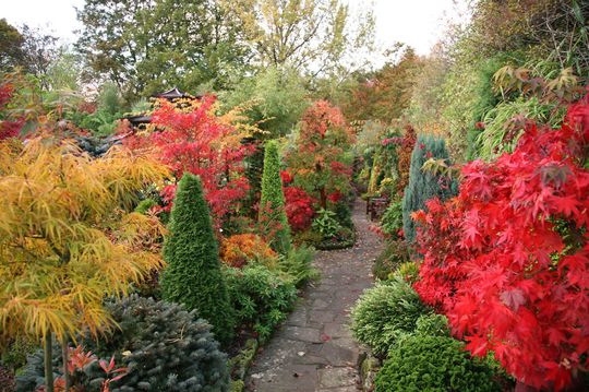 Blog_14_autumn.jpg