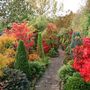 Blog_14_autumn