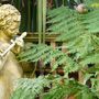 Garden_april_2008_001