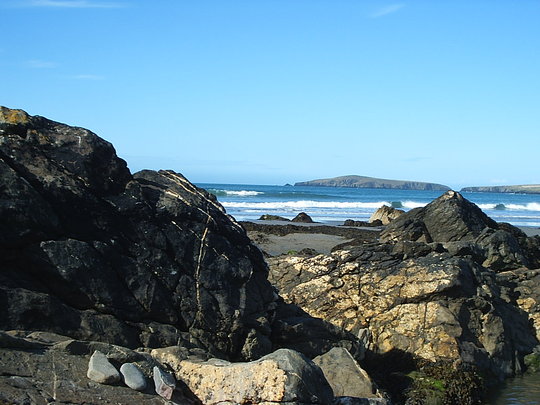 Cardigan Bay (cardigan bay)