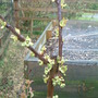 Dscf0065