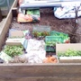 Photo0085