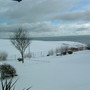 Dscf0005