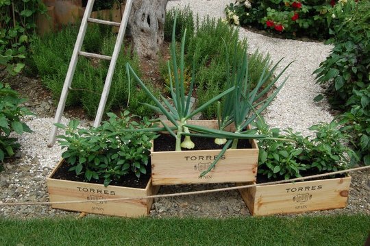 Re-use is better than recycling
