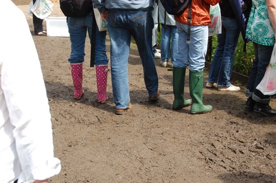Hampton Mud