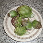 Artichoke