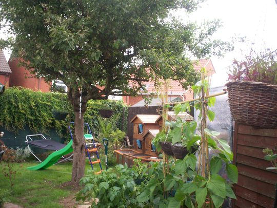 Veggies, rabbits and play area