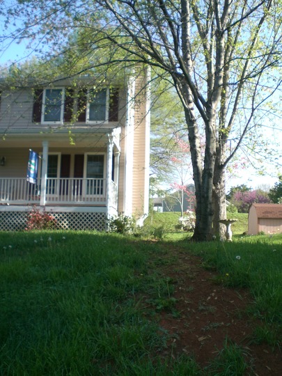 lack of side landscaping