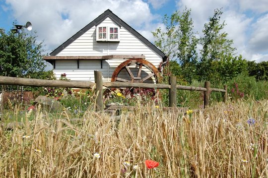 The Millers Garden