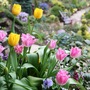 25_april_08__5_