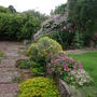 Back_garden_2