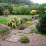 Back_garden