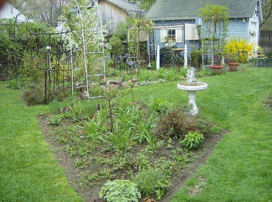 Back Garden - April 2008