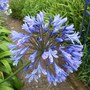August_2007_025