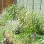 28th_april_08_009