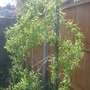 28th_april_08_023