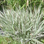 28th_april_08_024