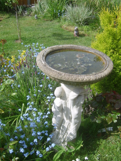 April garden.