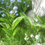 28th_april_08_028