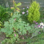 28th_april_08_048