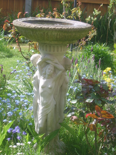 Bird Bath