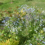 28th_april_08_059