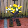 My_documents_my_pictures_053