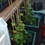 My_documents_my_pictures_046