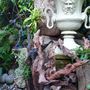 The_stumpery