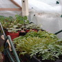 My_documents_my_pictures_042