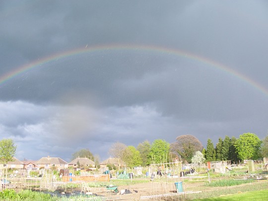 Rainbow over allotments 28/04/08