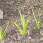 Kodak_pictures_366