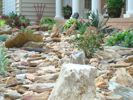 Rock Garden