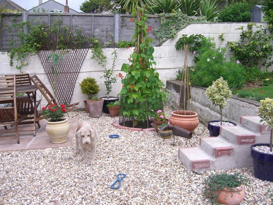 Lower area of garden