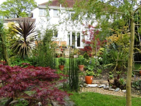 View from greenhouse up the garden.