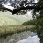 Copy_of_new_zealand_046