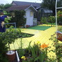 Yellowbrickroad9