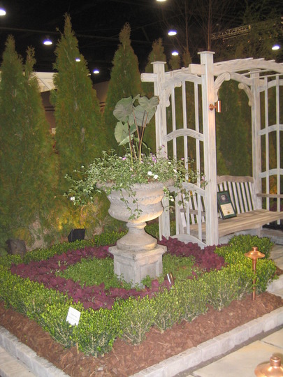 A garden flower photo