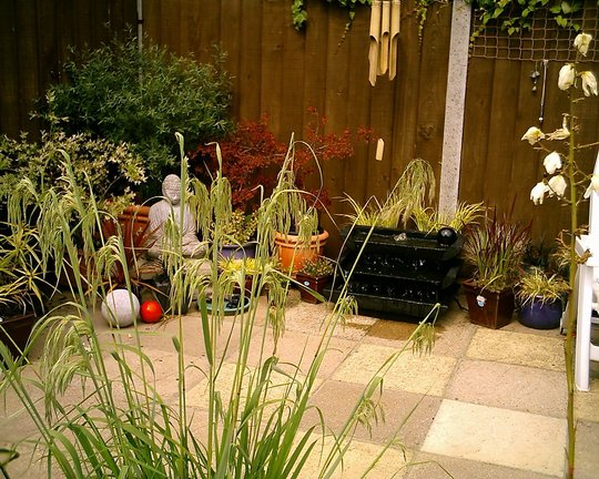Tranquil patio