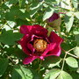Dscn1680