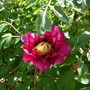 Dscn1682