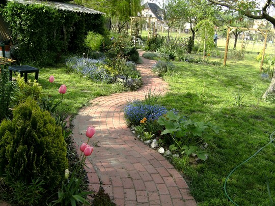 Path down back garden