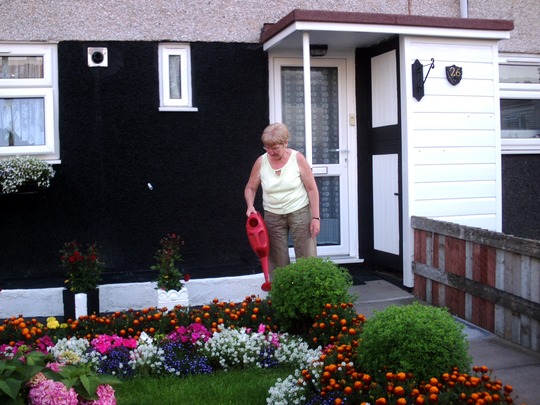 barb in garden 