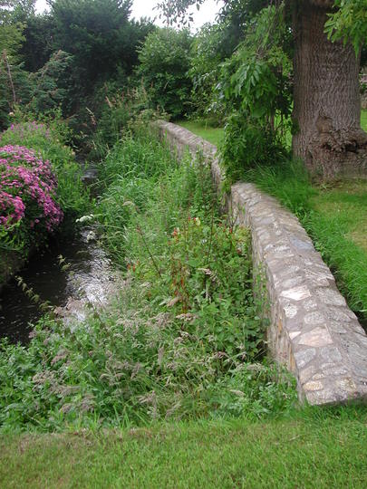 My stream bank project.